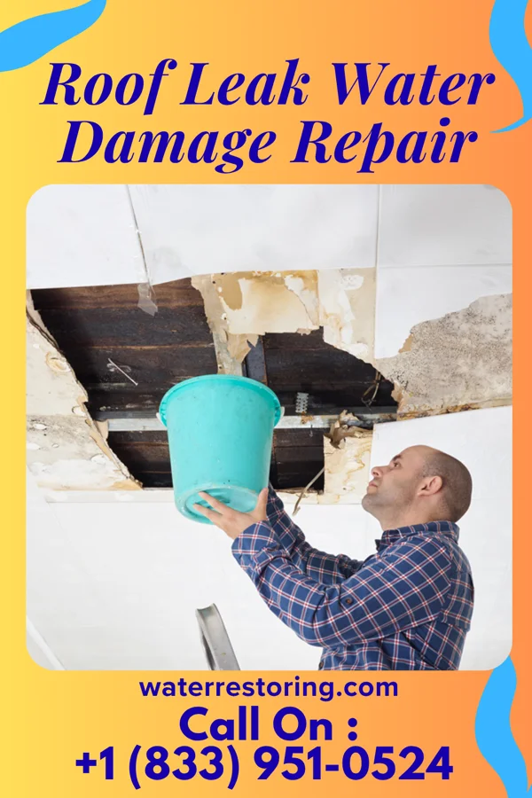 Roof Leak Water Damage Repair in Edmondson, AR